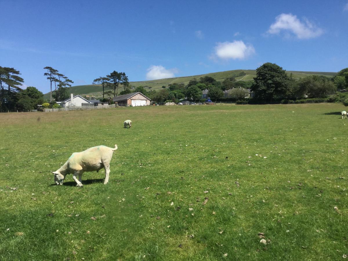 Plas Y Nant Llwyngwril Bagian luar foto